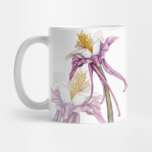 Aquilegia watercolor flower Mug